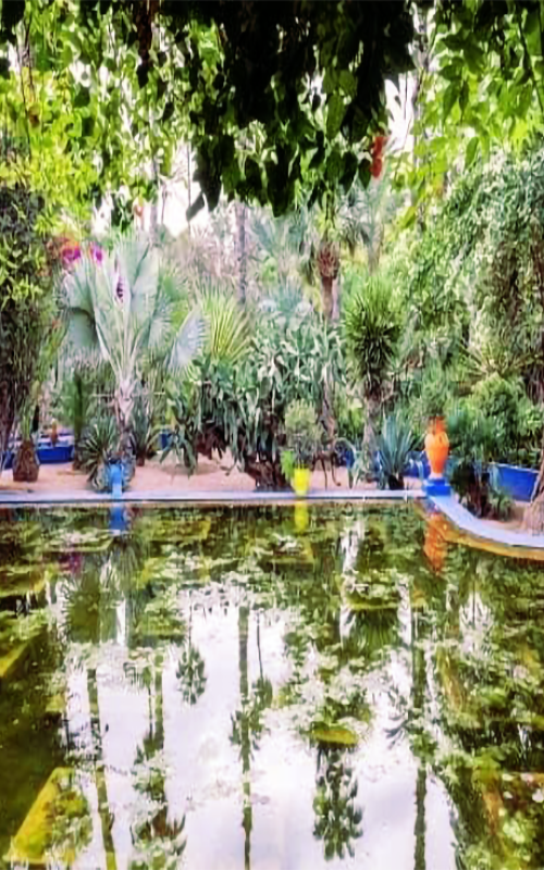 garden1